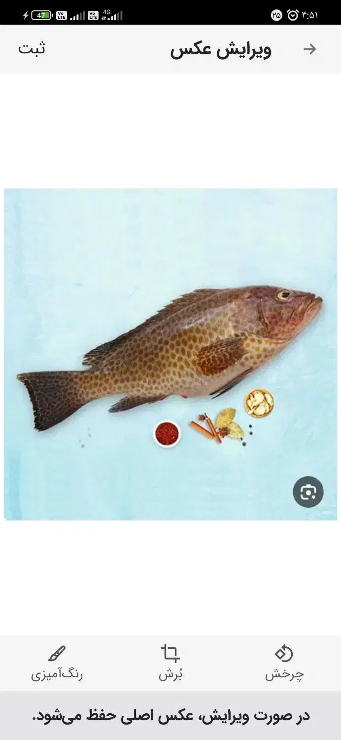 تازه تازه بار روز به روز|ماهی|آبادان, |دیوار