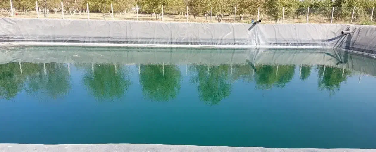 اجاره زمین کشاورزی|اجارهٔ دفتر صنعتی، کشاورزی، تجاری|بشاریات, |دیوار