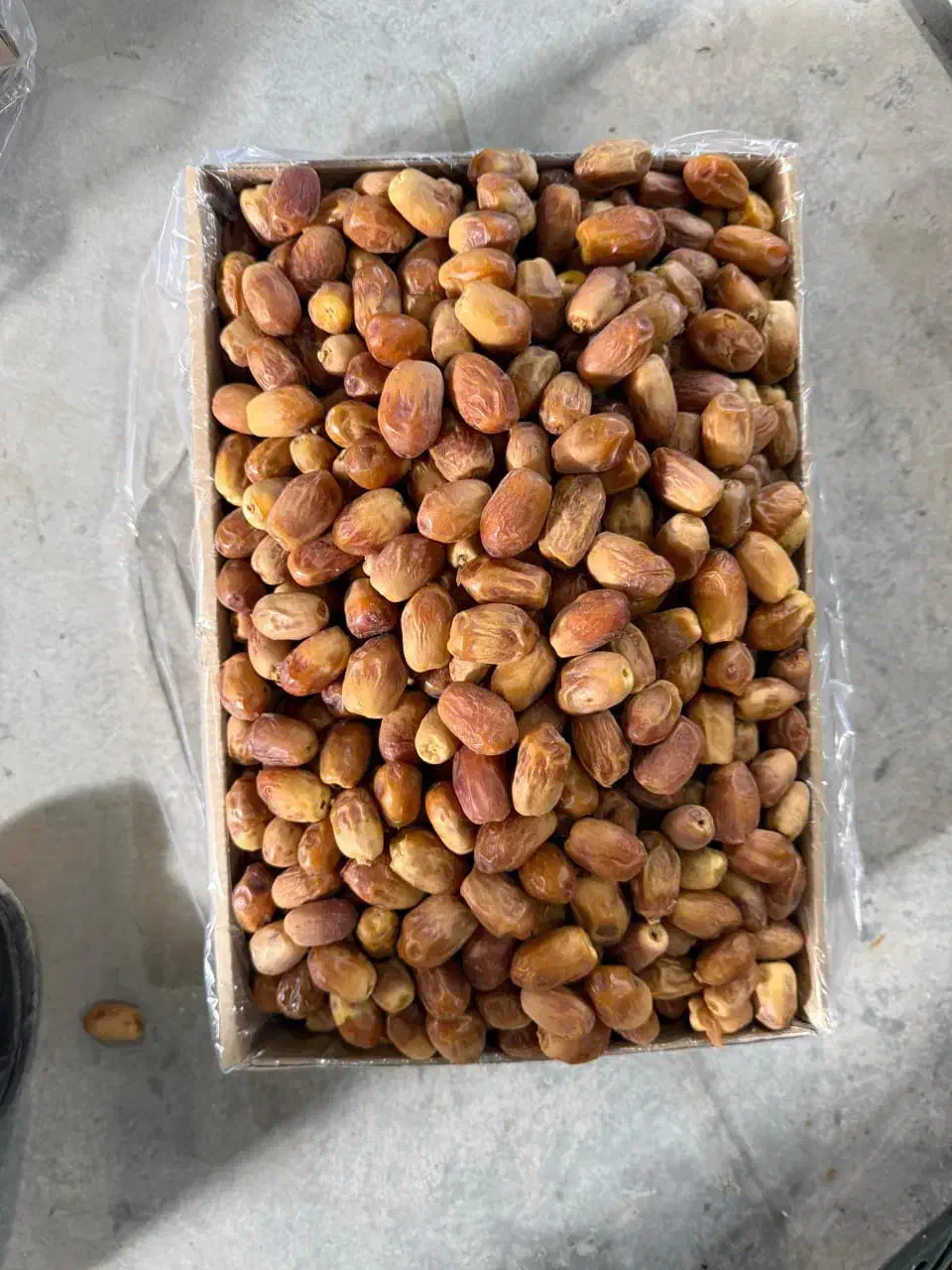 خرما زاهدی(قصب) و ضایعات قصب|خوردنی و آشامیدنی|شیراز, آبیاری|دیوار