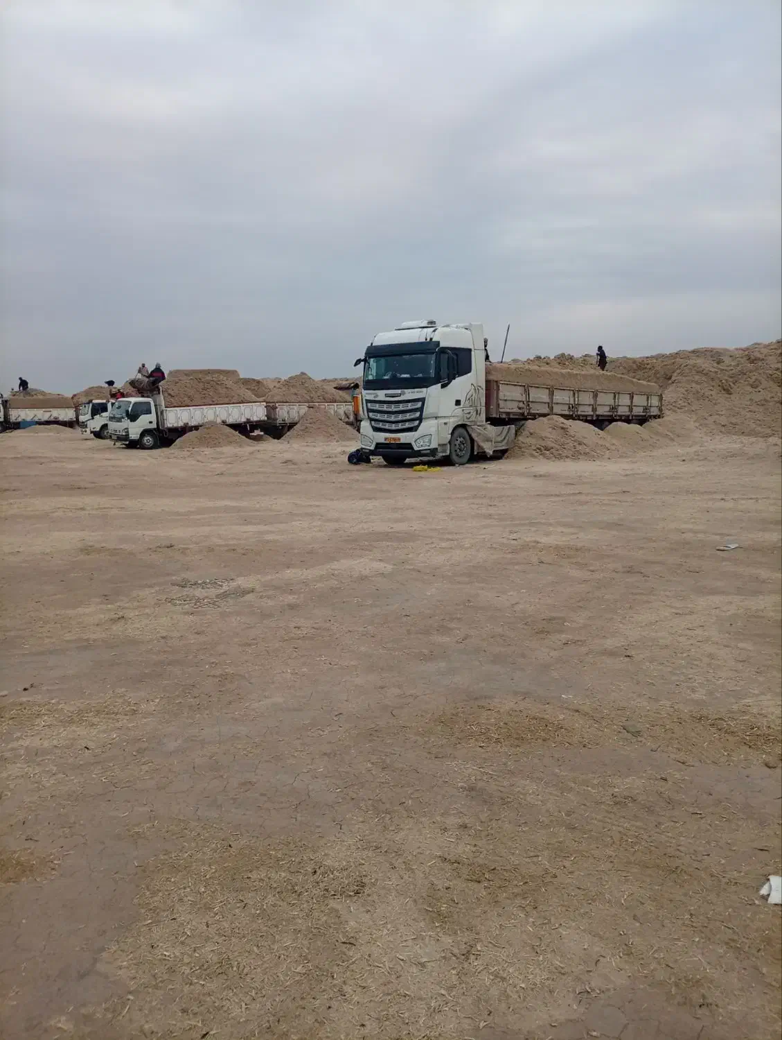 کاه نیشکر|عمده‌فروشی|رباط‌کریم, رباط‌کریم|دیوار