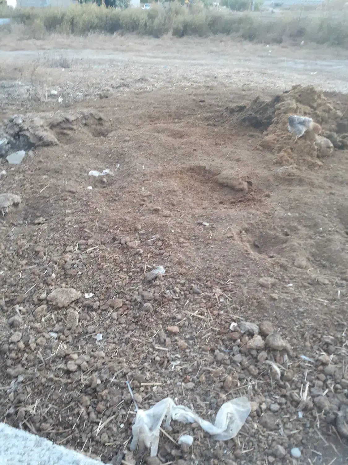 کود دامی گاو|خدمات باغبانی و درختکاری|پارس‌آباد, |دیوار