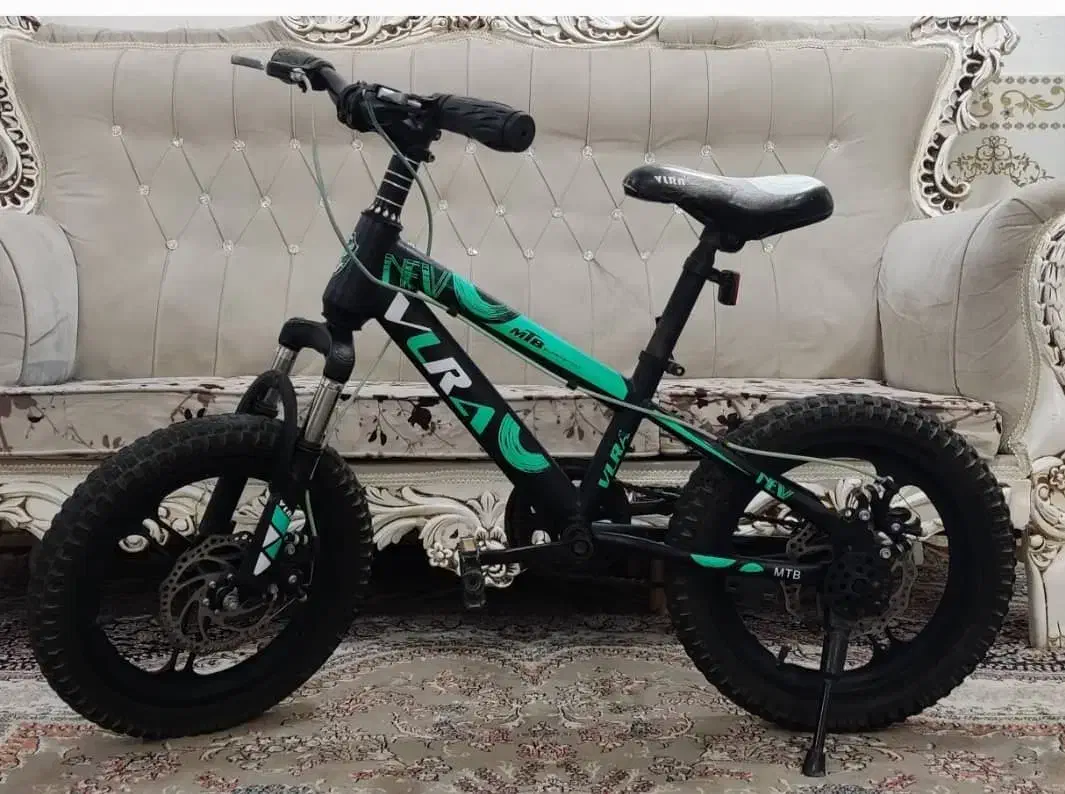 دوچرخه ۱۶حرفه ای|دوچرخه، اسکیت، اسکوتر|دوگنبدان, |دیوار