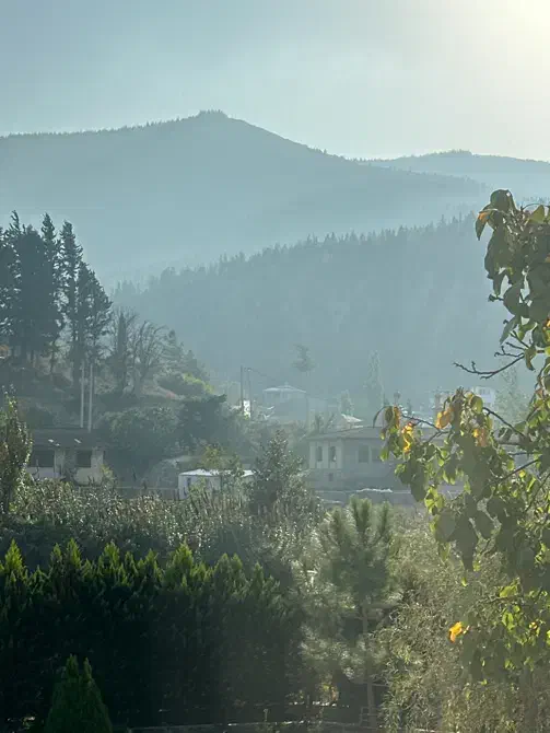 کارگر (سرایدار)|استخدام سرایداری و نظافت|مرزن‌آباد, |دیوار