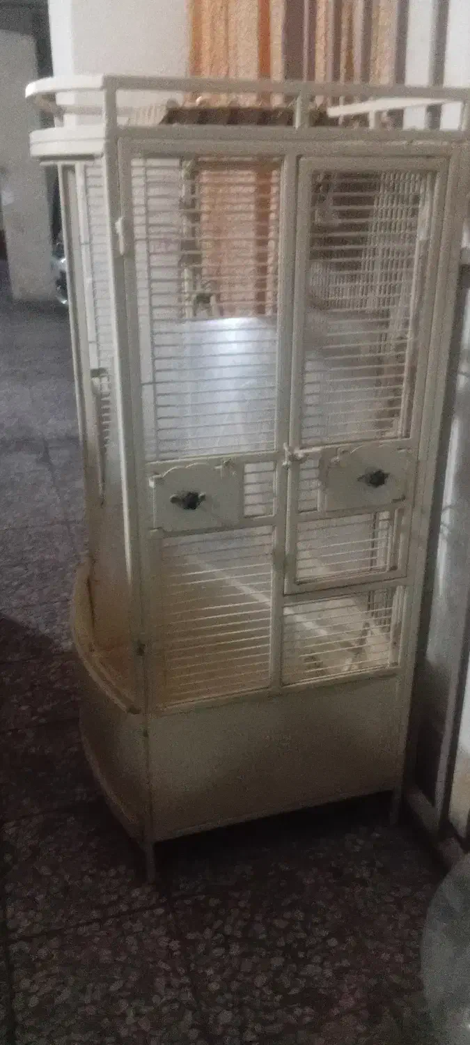 قفس طوطی بزرگ|لوازم جانبی حیوانات|تهران, سازمان برنامه جنوبی|دیوار