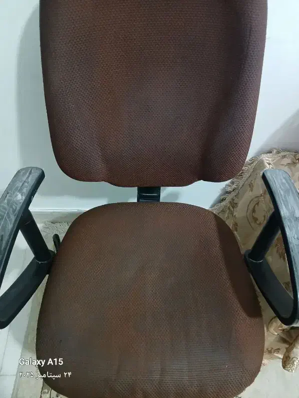 صندلی|دفتر کار|کرمانشاه, |دیوار