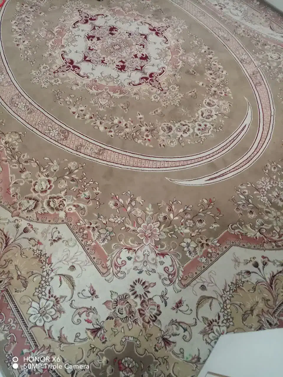 فرش|فرش|مشهد, نوید|دیوار