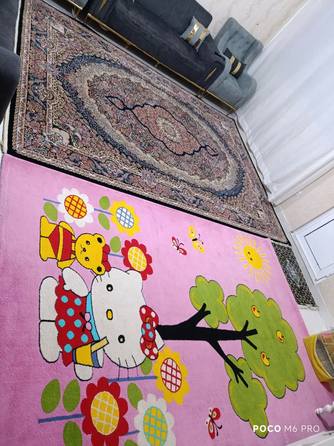 تعدادی لوازم خانگی|فرش|بندرعباس, |دیوار