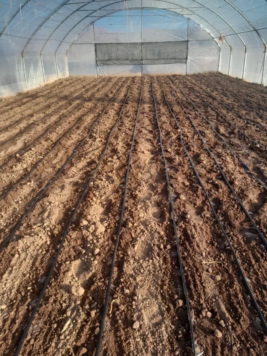 سازه گلخانه|عمده‌فروشی|چناران, |دیوار