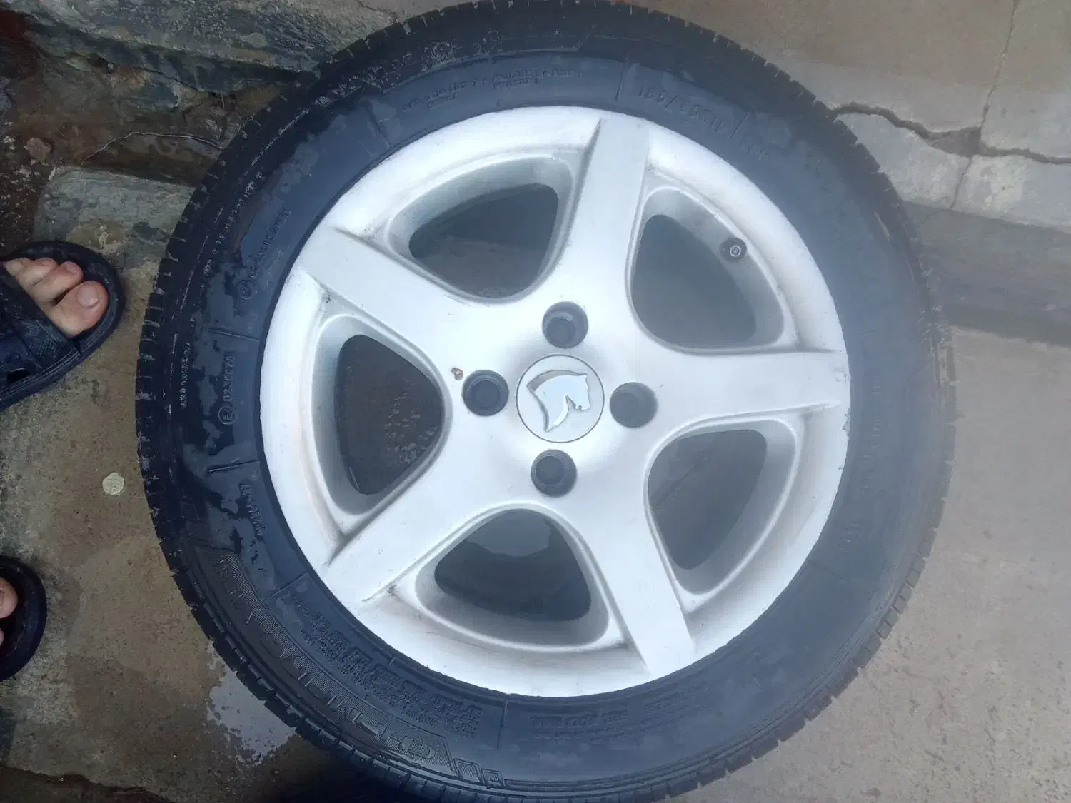 رینگ لاستیک پنج پر|قطعات یدکی و لوازم جانبی|بیستون, |دیوار