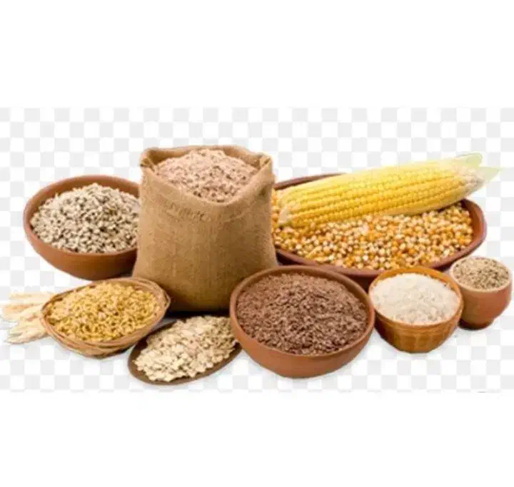 خوراک دام و نهاده آرپا|لوازم جانبی حیوانات|صومعهسرا, |دیوار