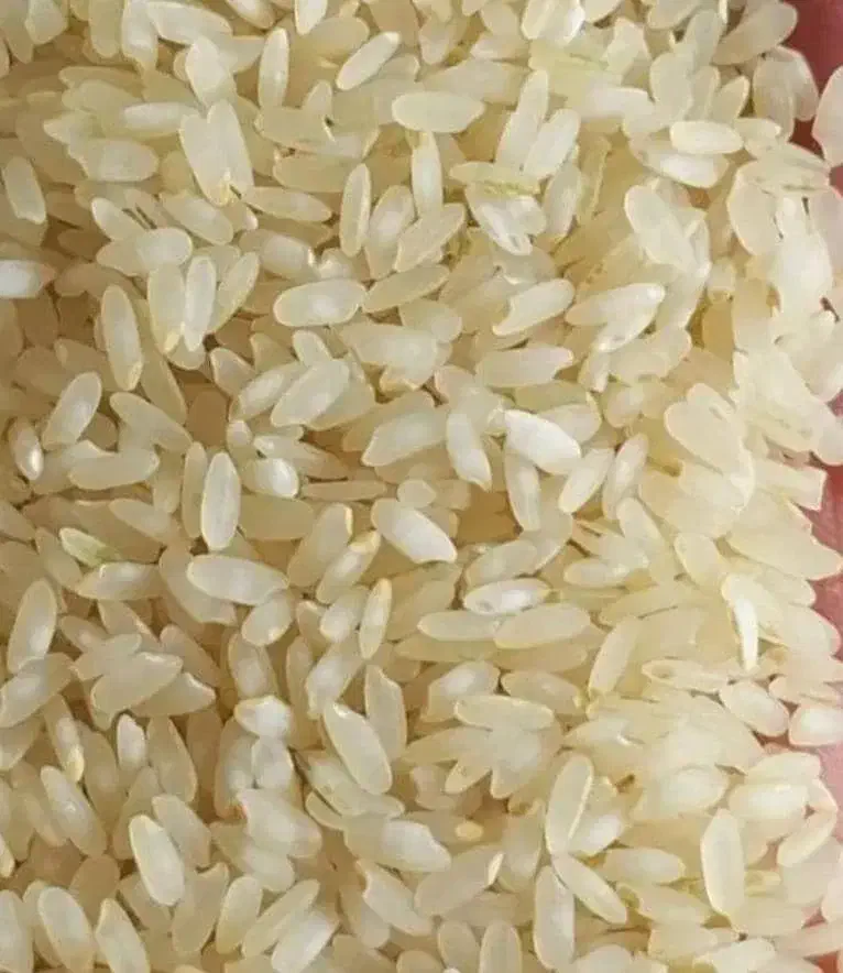 ۵۰۰کیلوبرنج کامفیروزی درجه یک|خوردنی و آشامیدنی|کامفیروز, |دیوار