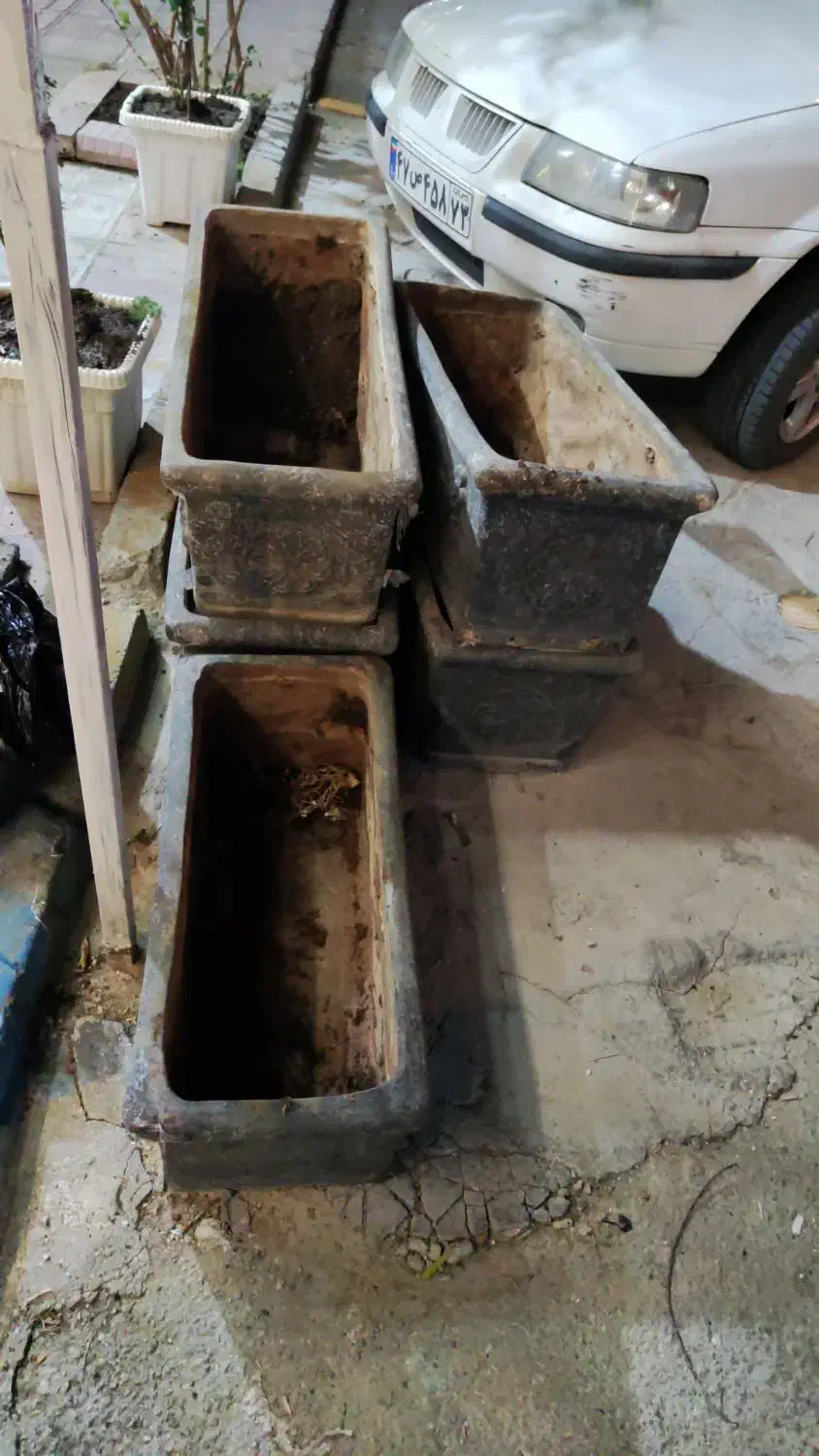 گلدان سفال|گل و گیاه طبیعی|کازرون, |دیوار