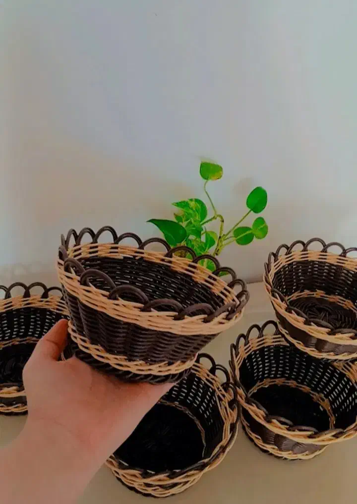 سبد های جای سبزی|ظروف نگهدارنده، پلاستیکی، یک‌بارمصرف|ازنا, |دیوار