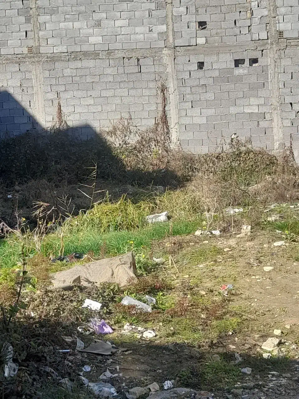 زمین در آسایش ۱۷|فروش زمین و ملک کلنگی|رشت, سلیمانداراب|دیوار