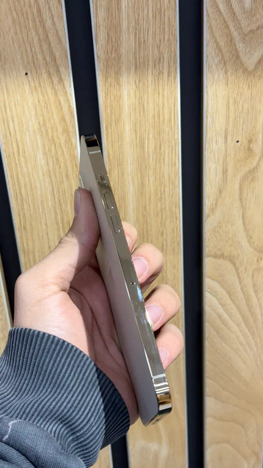 ایفون ۱۲ پرومکس|موبایل|تهران, درختی|دیوار