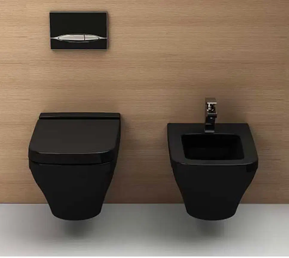 والهنگ مشکی براق برند گاتریا (نو داخل کارتن)|لوازم سرویس بهداشتی|همدان, |دیوار