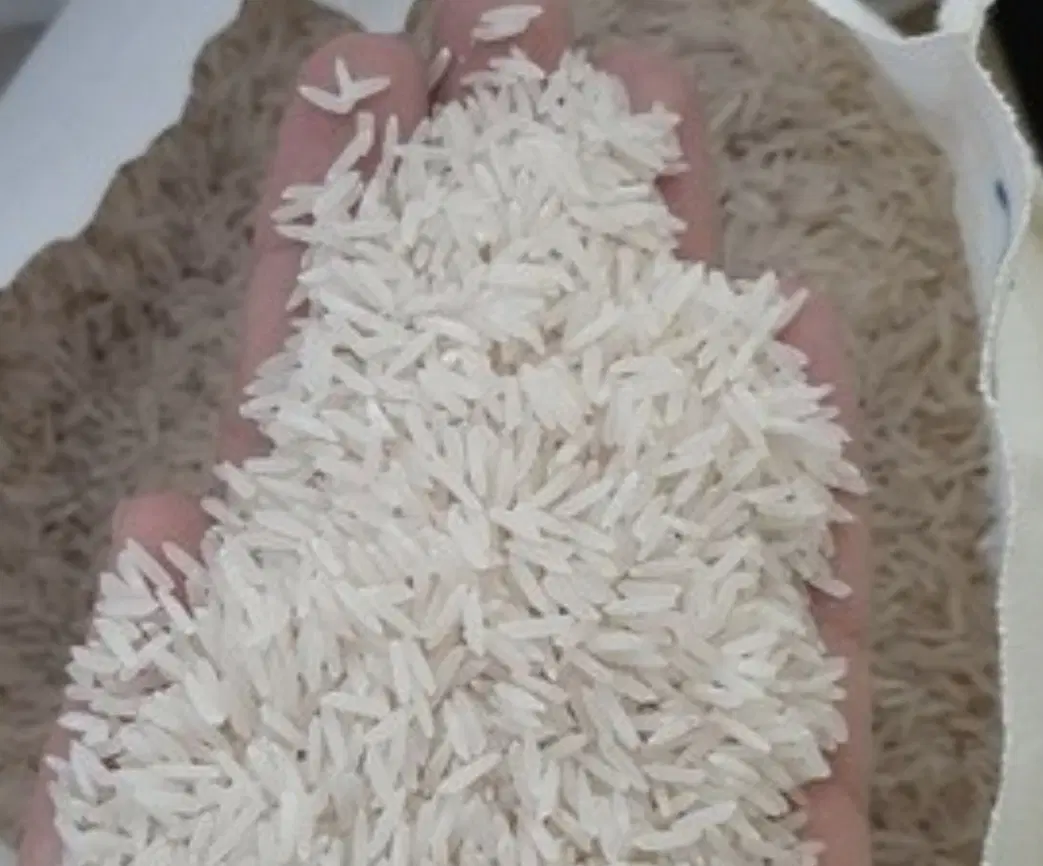 برنج فجر سوزنی|خوردنی و آشامیدنی|تهران, تهرانسر غربی|دیوار