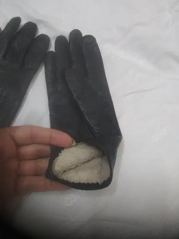 دستکش چرم طبیعی|لباس|ری, دیلمان|دیوار