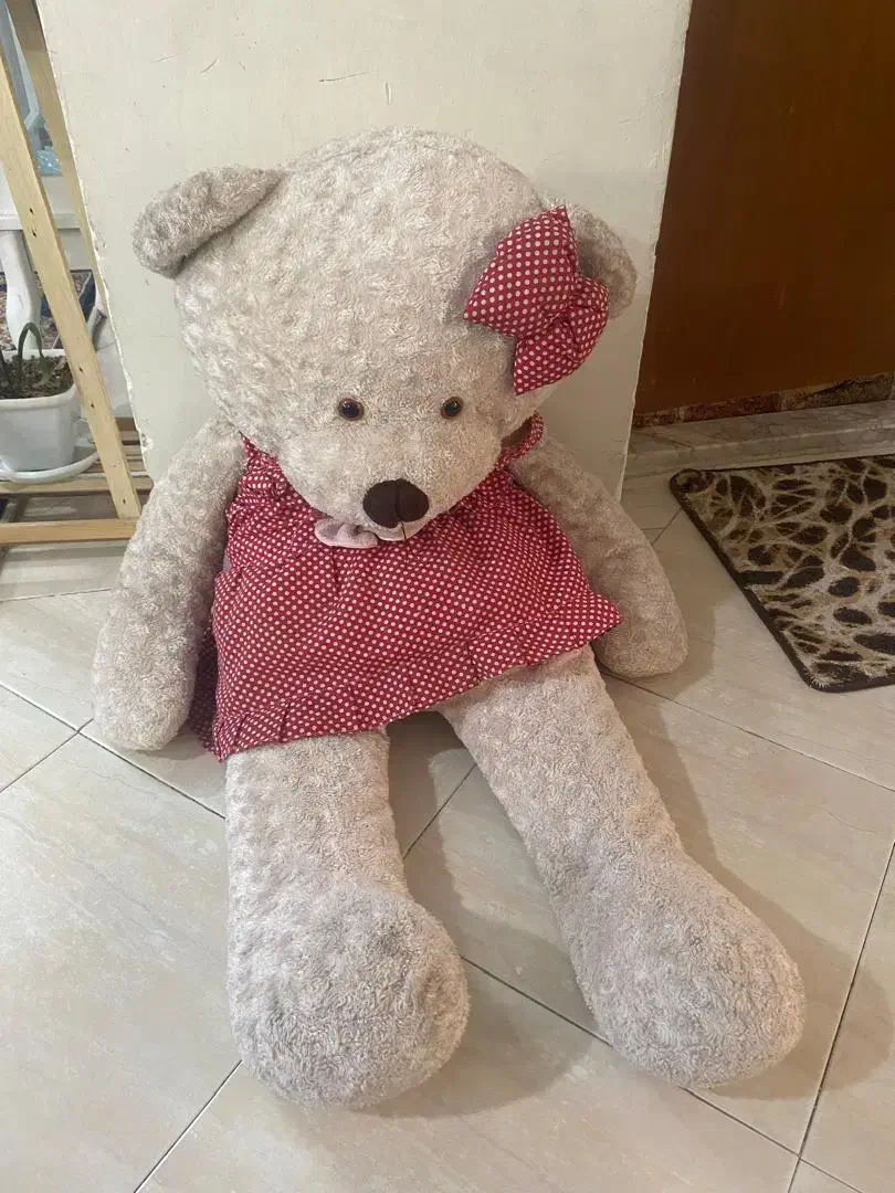 عروسک پولیشی خرسی|اسباببازی|مشهد, شهید هاشمی نژاد|دیوار