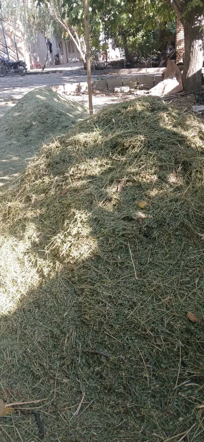 یونجه فروشی|حیوانات مزرعه|زند, |دیوار