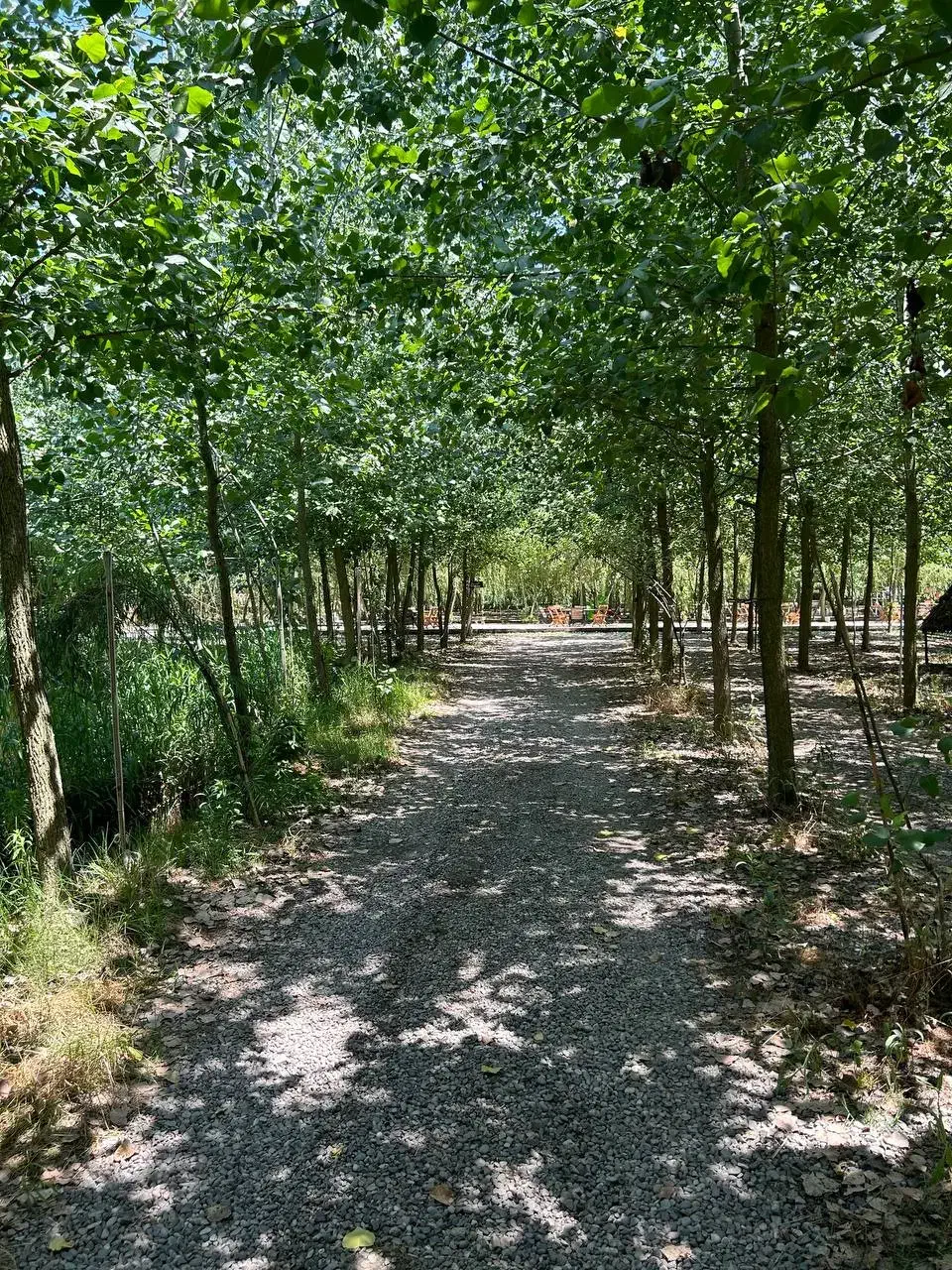 به دنیای آرامش و لوکس نشینی خوش آمدید|فروش خانه و ویلا|نهاوند, |دیوار