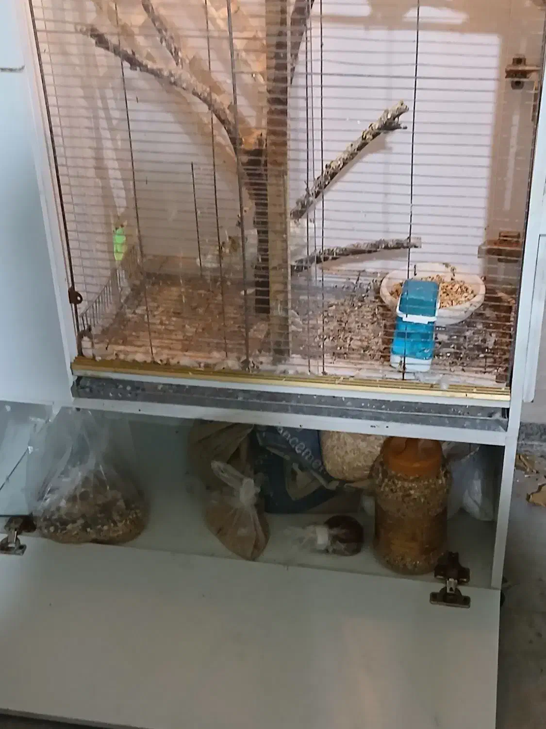 قفس تزئینی|لوازم جانبی حیوانات|بوشهر, |دیوار