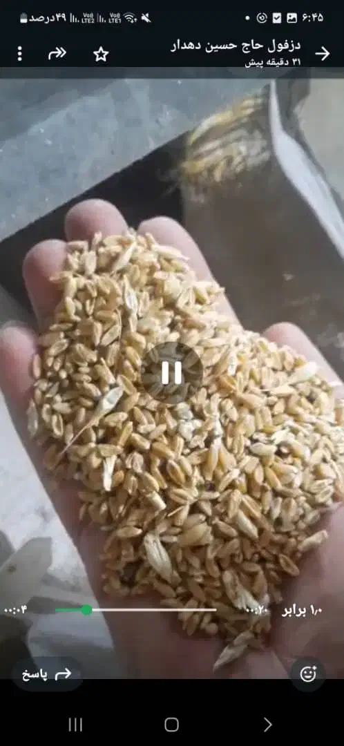 فروش کاه کنسانتره ذورت جو|حراج|سده (خراسان جنوبی), |دیوار