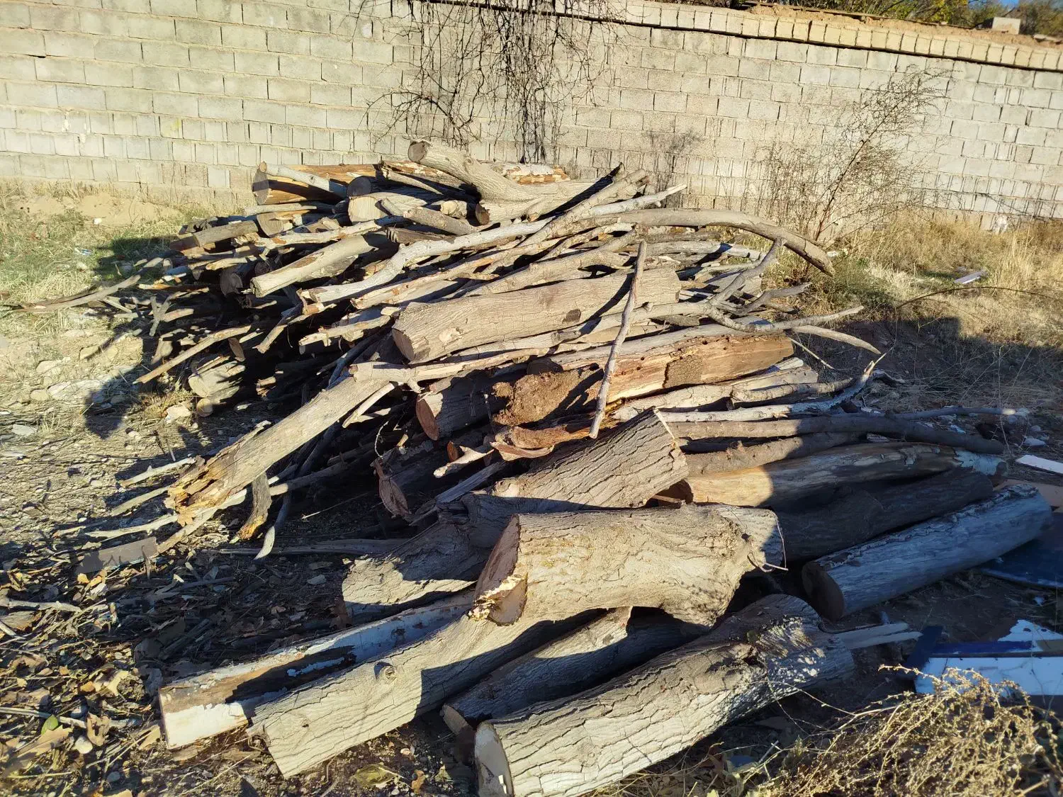 هیزم|خدمات باغبانی و درختکاری|شیراز, منصورآباد|دیوار