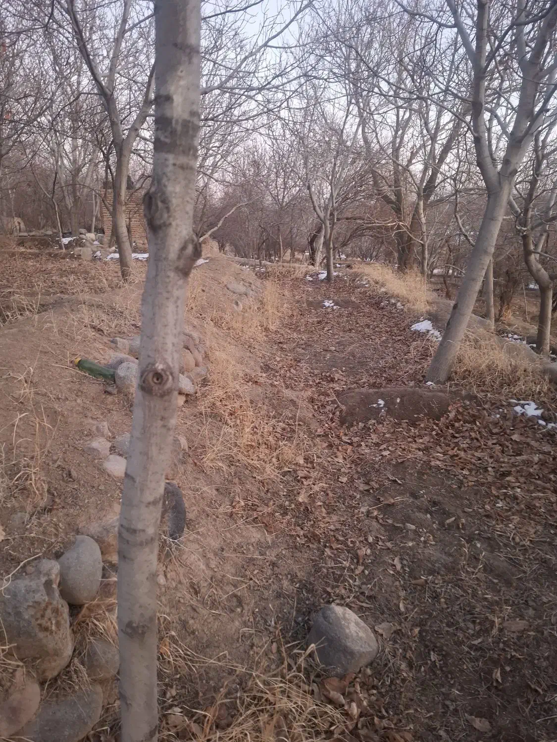 جهت خرید باغ در اسکو با ما در تماس باشید|فروش خانه و ویلا|اسکو, |دیوار