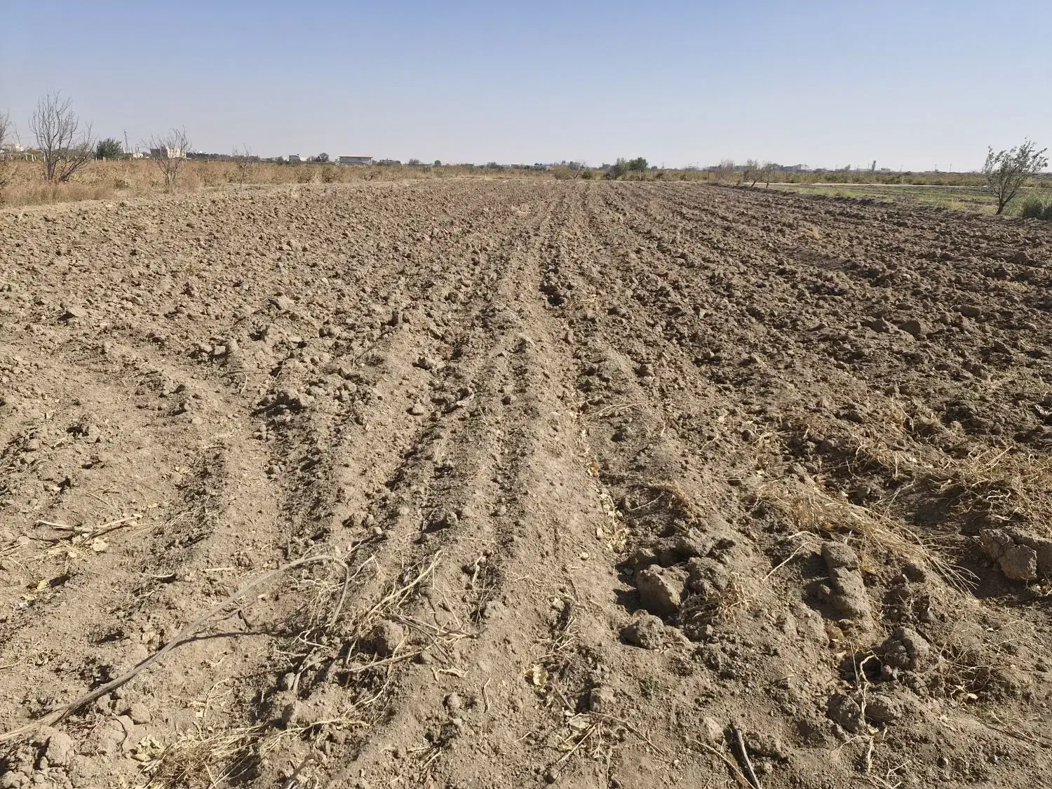 زمین کشاورزی|فروش دفتر صنعتی، کشاورزی، تجاری|دشتابی, |دیوار