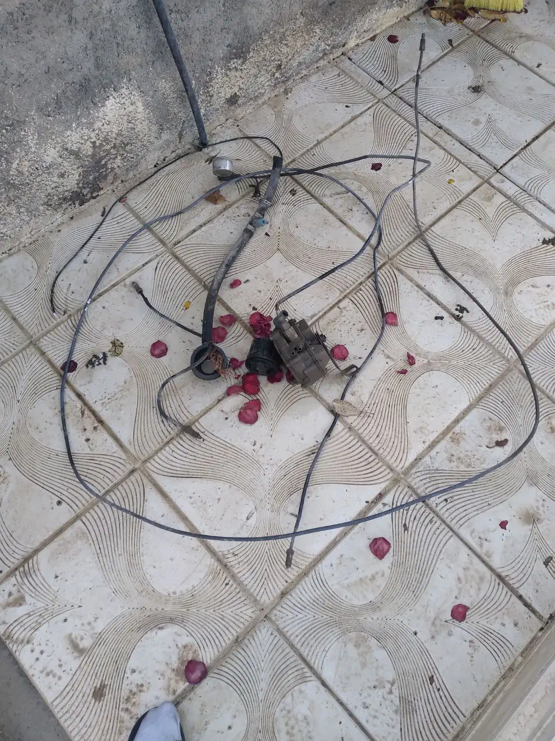 کپسول سی ان جی|قطعات یدکی و لوازم جانبی|فامنین, |دیوار