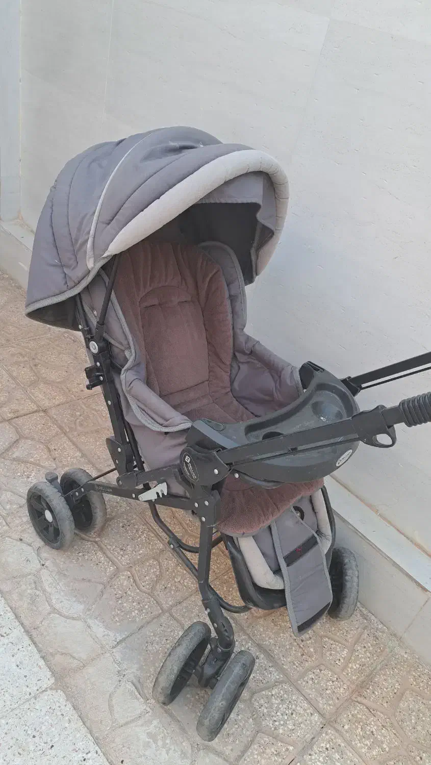 کالسکه دلیجان|کالسکه و لوازم جانبی|فردوس (خراسان), |دیوار