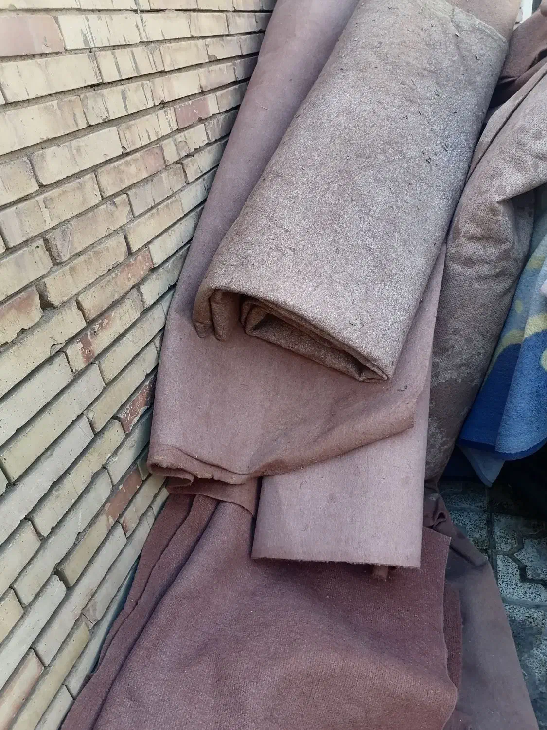 موکت قهوه ای|موکت|کرمان, |دیوار