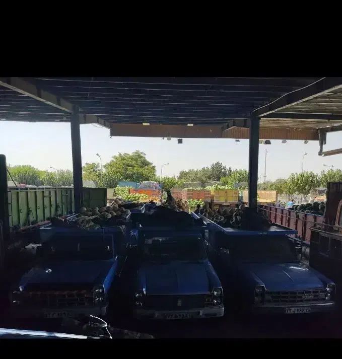 اجاره غرفه در میدان تره‌بار مرکزی 6 دانگ تخلیه|اجارهٔ مغازه و غرفه|تهران, میدان میوه و تره‌بار مرکزی|دیوار