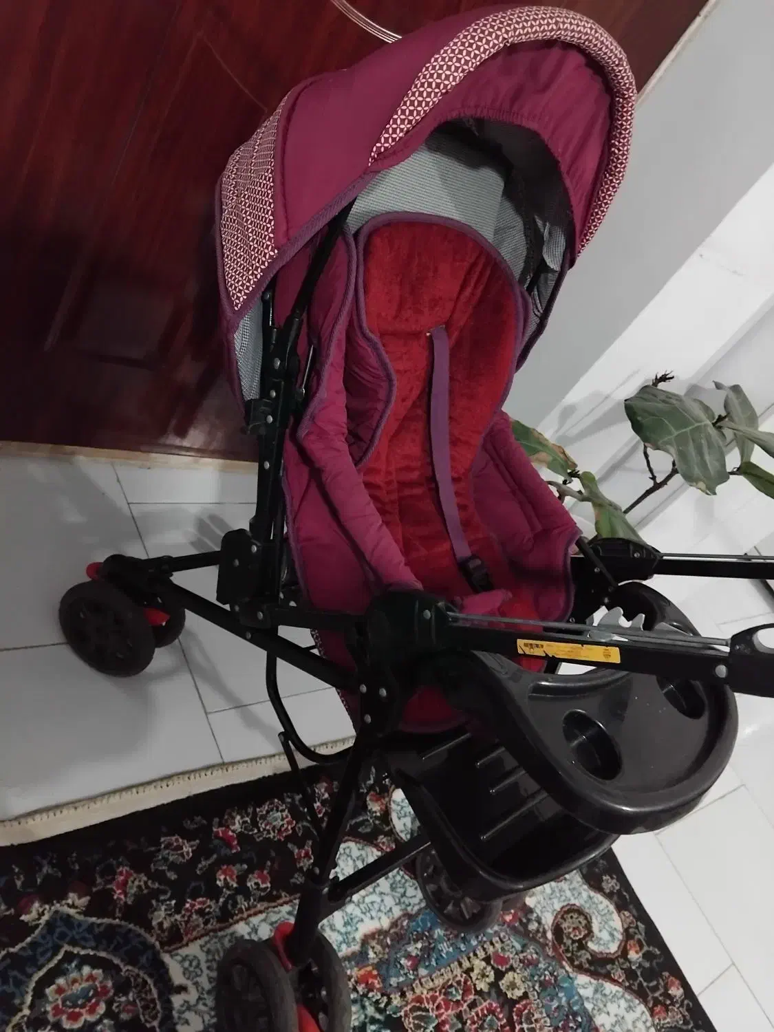 کالسکه|کالسکه و لوازم جانبی|آستانه اشرفیه, |دیوار