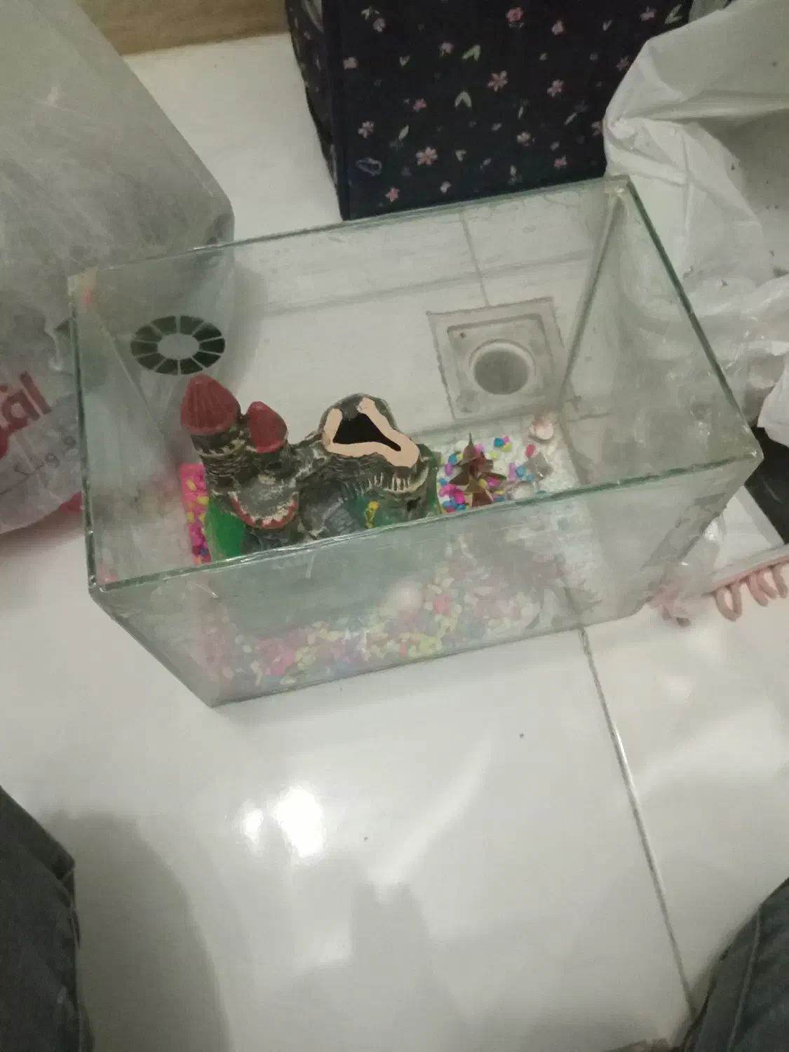 آکواریوم باپمپ|ماهی|تهران, جیحون|دیوار