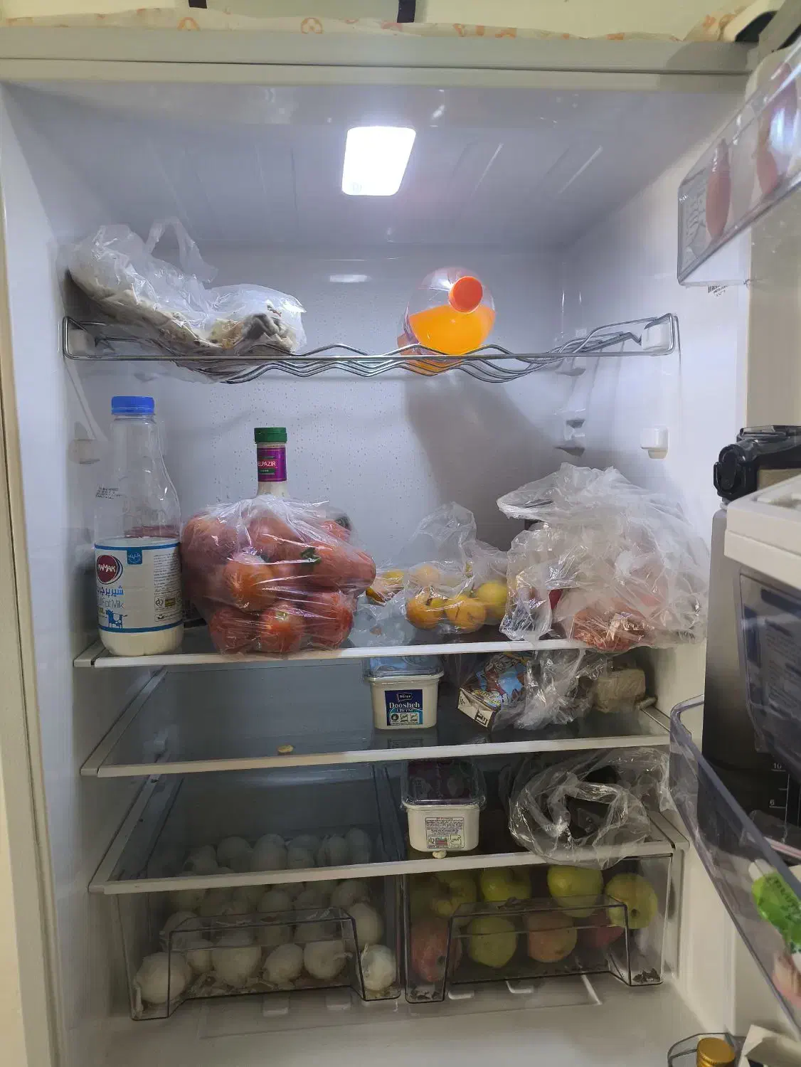 یخچال فریزر مارک جنرال|یخچال و فریزر|اهواز, پردیس دو|دیوار