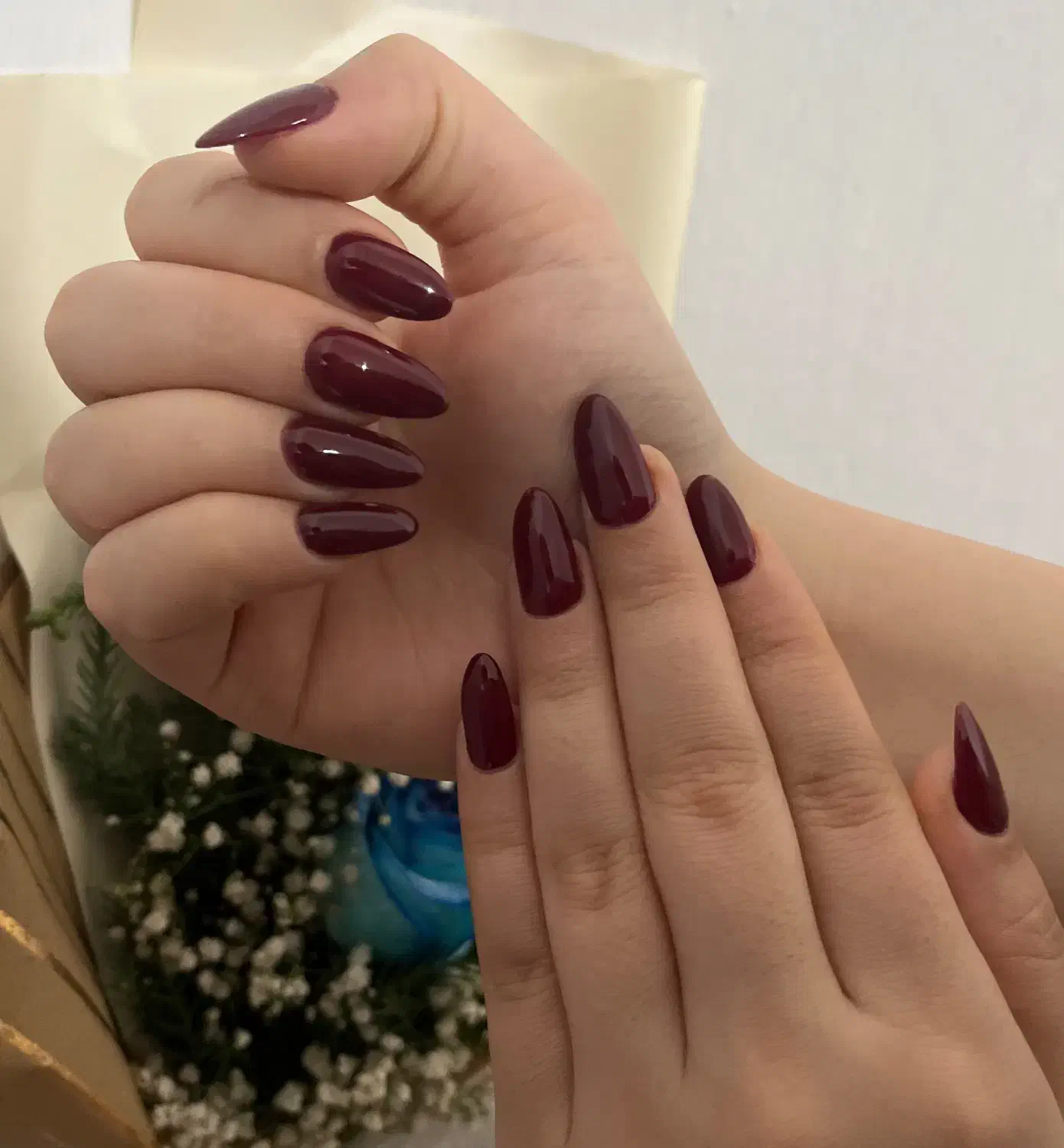 کاشت ناخن با تخفیف یلدایی|خدمات آرایشگری و زیبایی|رشت, فلسطین|دیوار