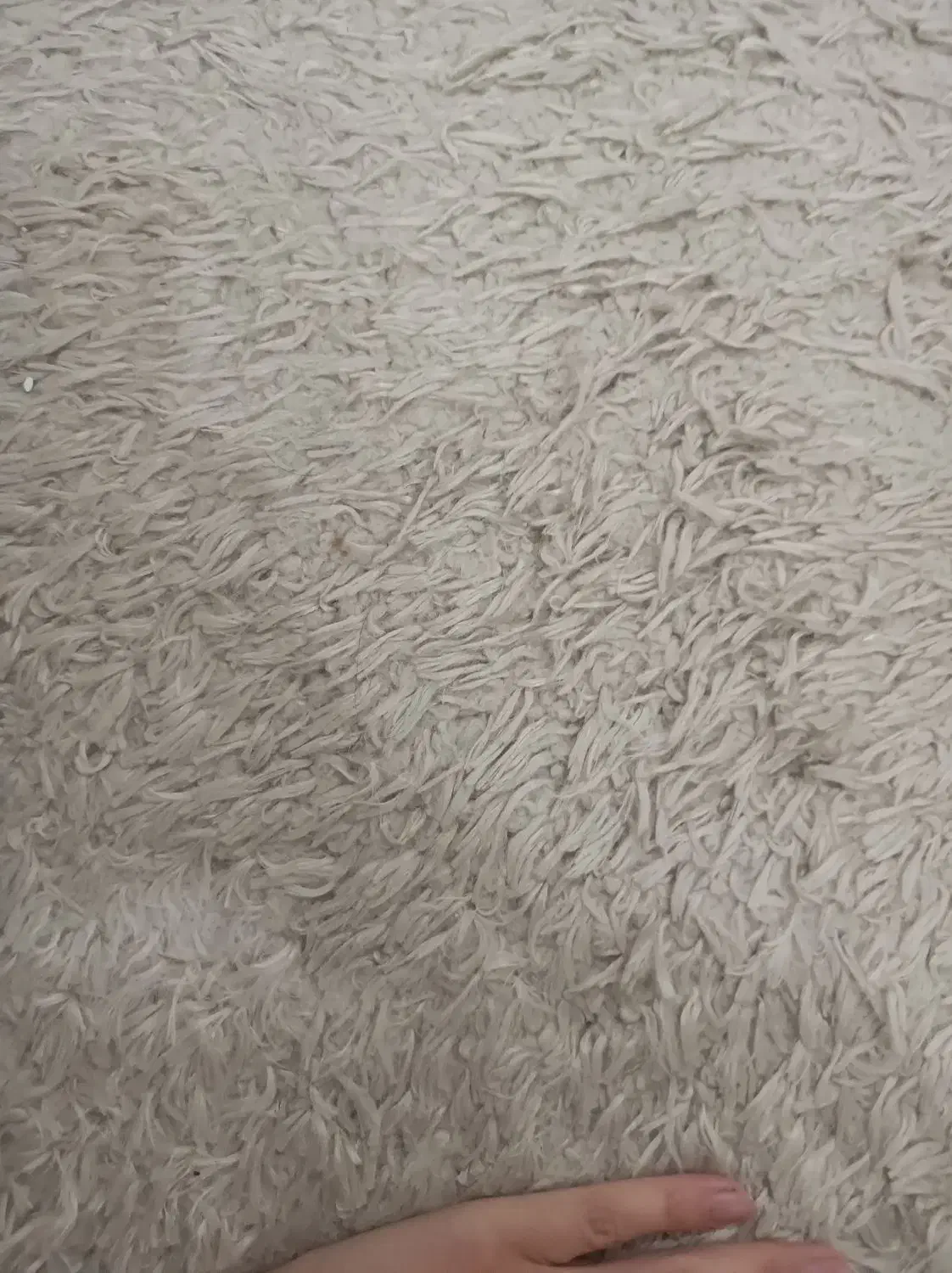 فرش فانتزی 2 متری در حد نو 2 عدد|فرش|اندیشه, اندیشه فاز ۱|دیوار