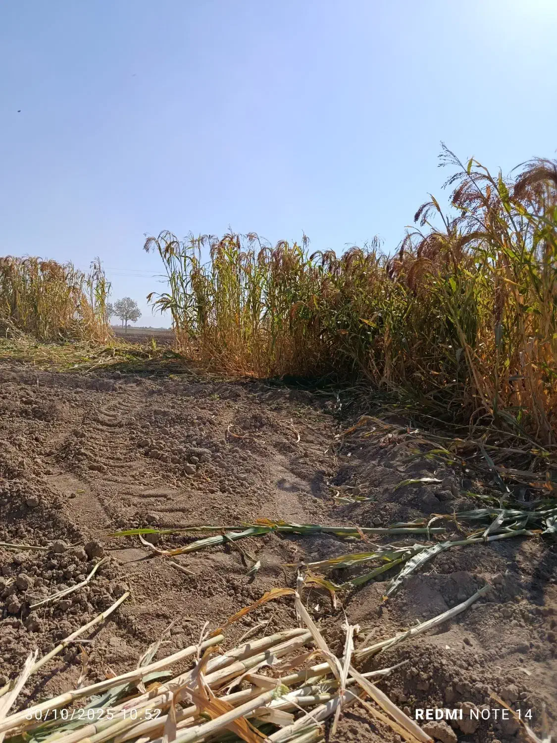 جارو|لوازم نظافت|اراک, |دیوار