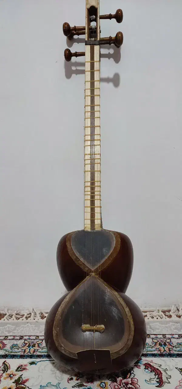 تار سالم و خوش صدای مهر محمدی|سازهای سنتی|خرمآباد, |دیوار