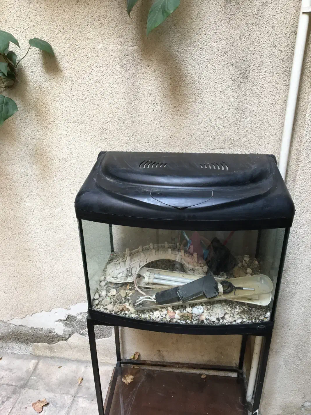 آکواریوم شیشه ای با 90درجه لبه منحنی|ماهی|تهران, ارامنه|دیوار