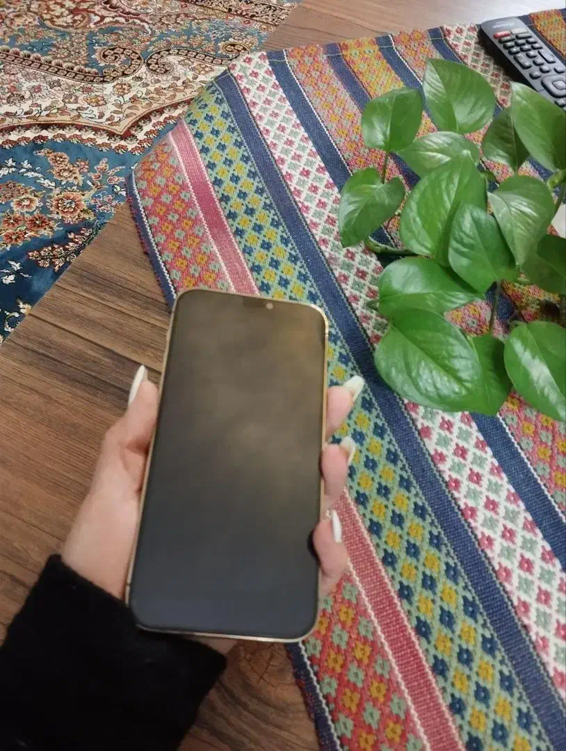 آیفون 12pro 256گیگ|موبایل|مشهد, گلشور|دیوار