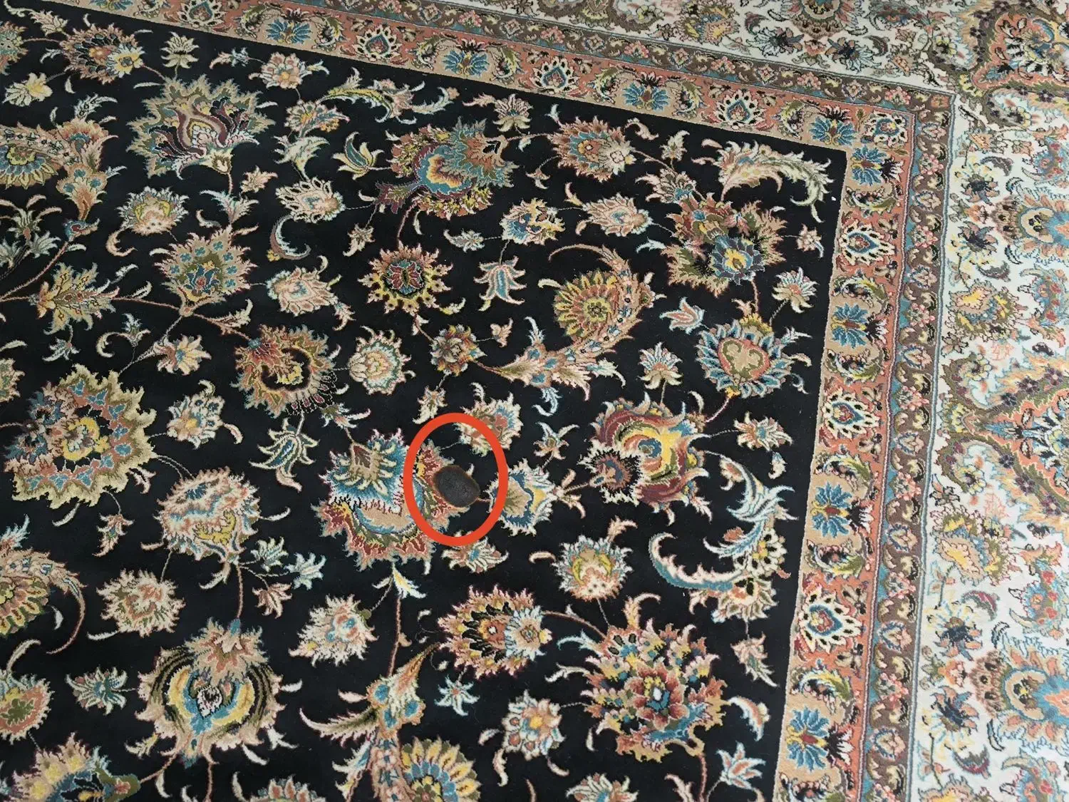 فرش|فرش|پاکدشت, شهرک امام رضا|دیوار