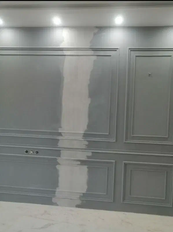 نقاش رنگ‌کار نقاشی|خدمات پیشه و مهارت|چمستان, |دیوار