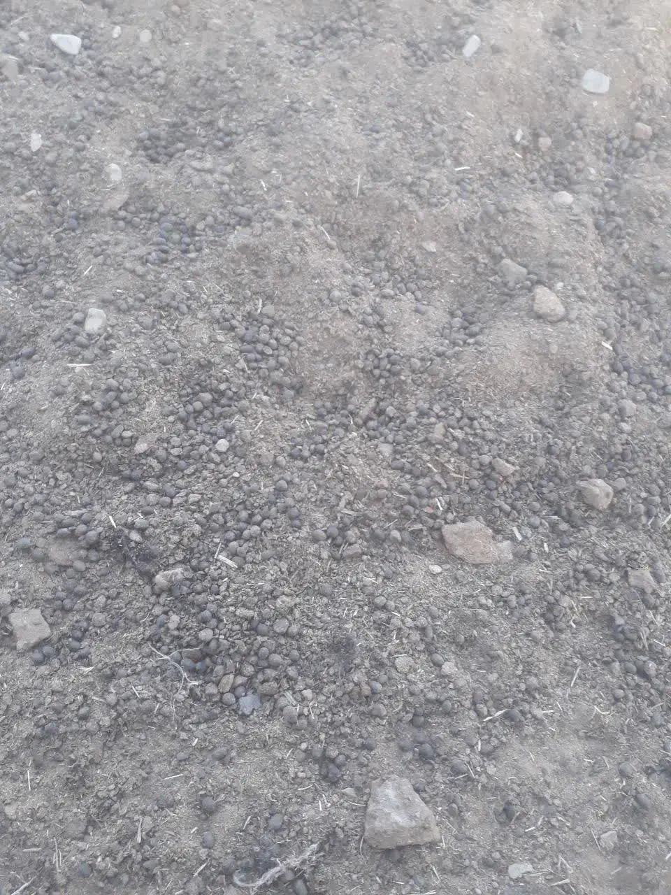 کود گوسفندی مرغوب|خدمات باغبانی و درختکاری|اسلام‌شهر, شهرک واوان|دیوار