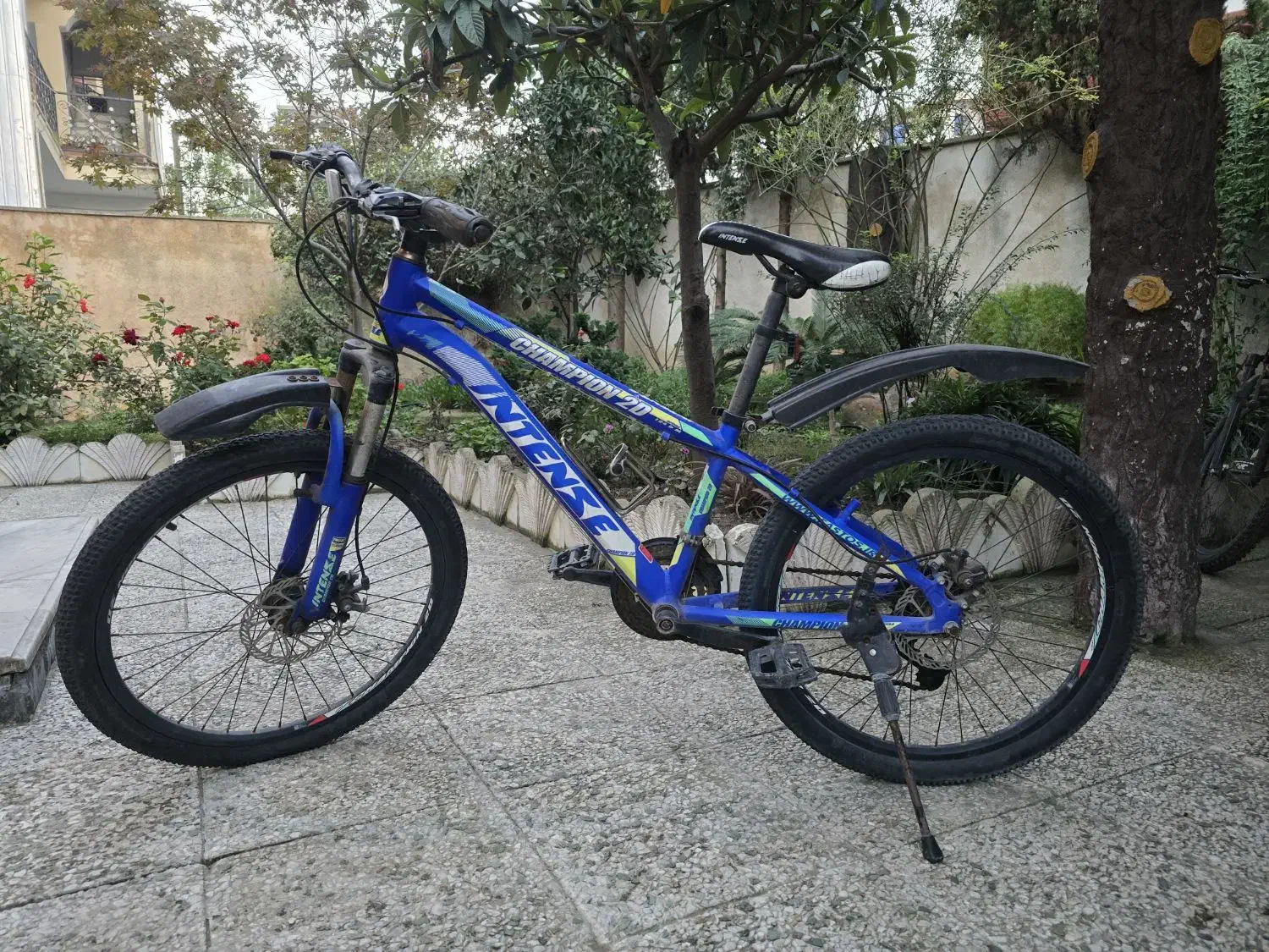 دوچرخه|دوچرخه، اسکیت، اسکوتر|نور, |دیوار