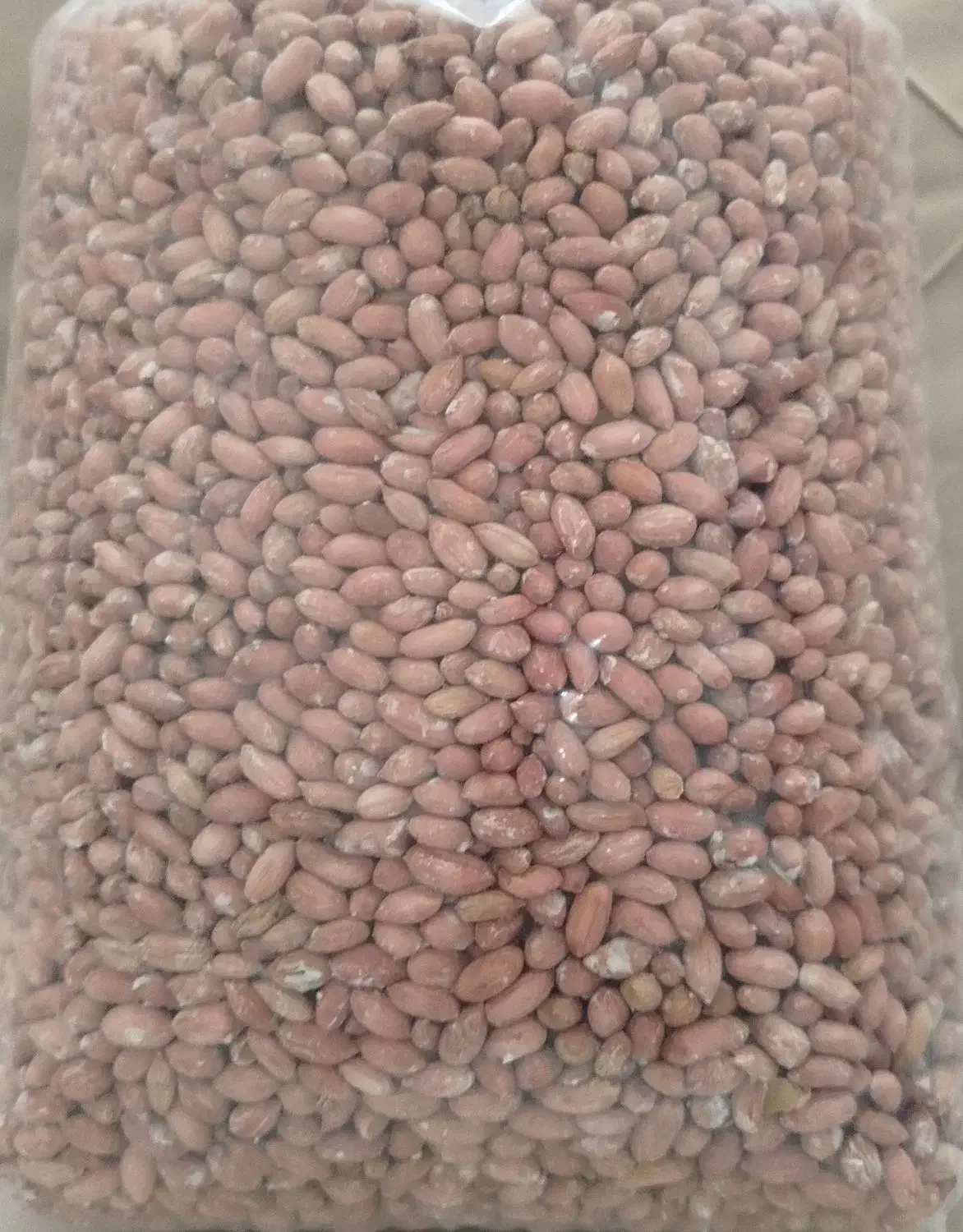 بادام زمینی اعلا آستانه|خوردنی و آشامیدنی|قم, شهرک مهدیه|دیوار