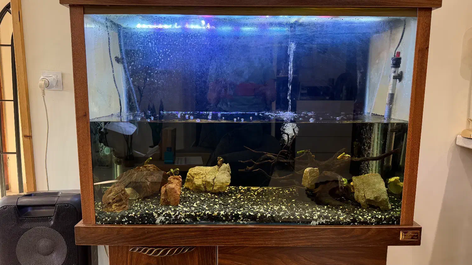 آکواریوم با تمامی تجهیزات فقط ۱۰ میلیون تومان|ماهی|تهران, سهروردی|دیوار