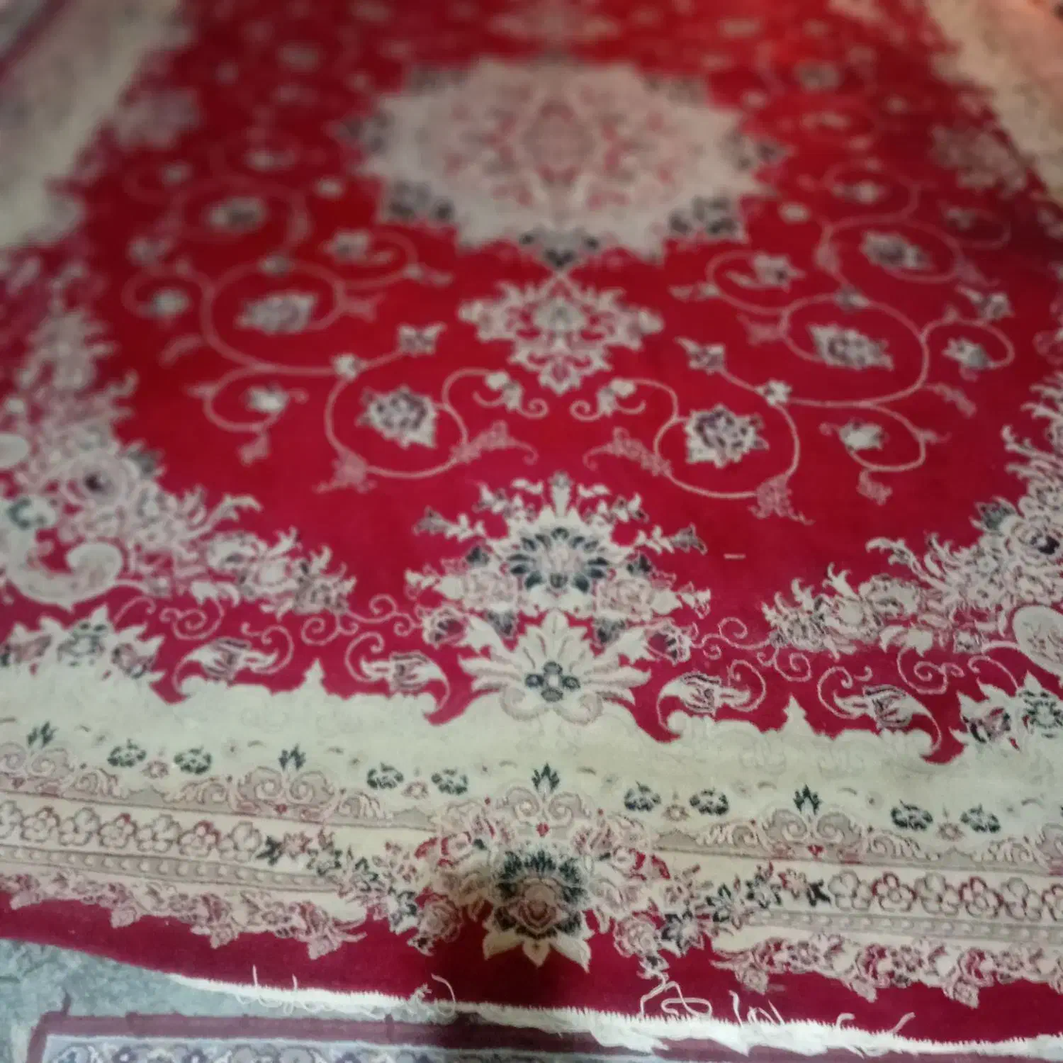 فرش|فرش|بجنورد, |دیوار